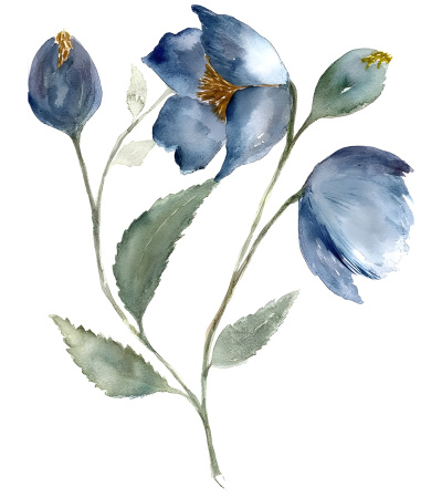 Watercolor Flowers